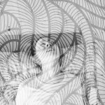 2016-06-04-13.39.18_1