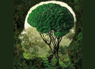 Feng Shui radionica za aktiviranje kućne zone Sjeveroistoka koja donosi sreću, mudrost i blagostanje