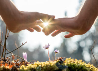 Tečaj – inicijacija u 1. stupanj Reikija, Zagreb – Poziv za predbilježbe