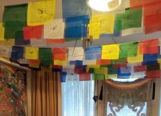 Reiki tečaj 1. stupnja za djecu 14. do 15.01.2023. Kako je bilo