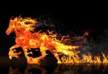 Dolazi godina Vatrenog konja. Ovo je Feng Shui prognoza za 2026. godinu. od 04.02.2026. do 03.02.2027. godine