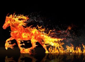 Dolazi godina Vatrenog konja. Ovo je Feng Shui prognoza za 2026. godinu. od 04.02.2026. do 03.02.2027. godine